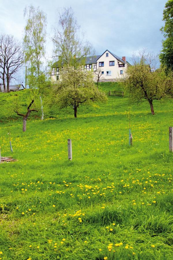 Berghof Apartment Zeulenroda-Triebes Luaran gambar